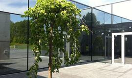 Krematoriume bus atliekama planinė patikra