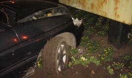 Jaunuoliui nepatiko Klaipėdos ir Debreceno draugystė