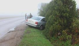 Įmantriame posūkyje jauna mama vartė tujas