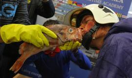 Būsimieji jūrų vilkai tradiciškai bučiavo žuvį