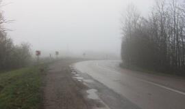 Įmantriame posūkyje jauna mama vartė tujas