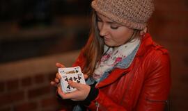 Turgaus nakties scenarijų perrašė liūtis