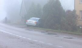 Įmantriame posūkyje jauna mama vartė tujas