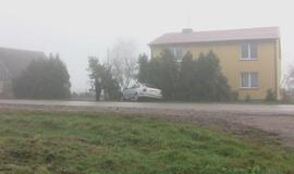 Įmantriame posūkyje jauna mama vartė tujas