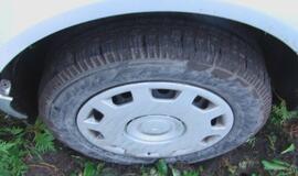 Įmantriame posūkyje jauna mama vartė tujas