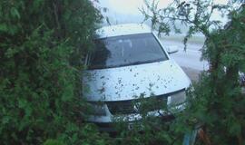 Įmantriame posūkyje jauna mama vartė tujas