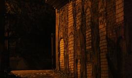 Turgaus nakties scenarijų perrašė liūtis