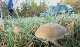 Plikledis: Klaipėdos gatvės virto čiuožykla