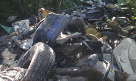 Reikalaujama įvesti 500 litų aplinkos taršos mokestį automobilių importuotojams