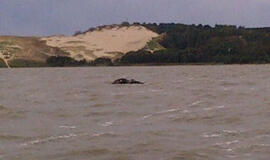 51-ąjį gimtadienį pasitinkanti Neringa prisimena savo pradžią