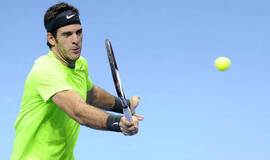Finaliniame ATP sezono turnyre - argentiniečio Ch. M. del Potro pergalė