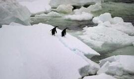 Lediniame Antarkties ežere mokslininkai atrado gyvų organizmų