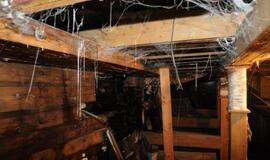 "Meridianas" iš vidaus