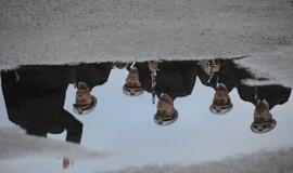 Šventinė rikiuotė - Lietuvos kariuomenės dienai