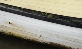 "Meridianas" iš vidaus