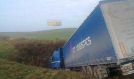 Vilkikas purvyne mirko beveik 2 paras