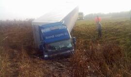 Vilkikas purvyne mirko beveik 2 paras