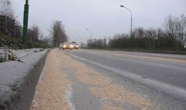 Uostamiesčio gatvėje - grūdų provėžos