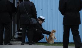 Šventinė rikiuotė - Lietuvos kariuomenės dienai