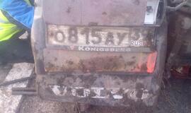 Vilkikas purvyne mirko beveik 2 paras