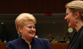 Dalia Grybauskaitė: 2013 m. bus truputį geresni