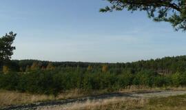 Galime netekti tokios Kuršių nerijos, kokią esame įpratę matyti