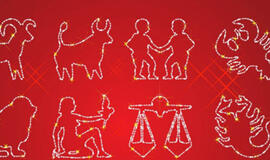 Naujųjų metų sutikimas pagal horoskopo ženklą