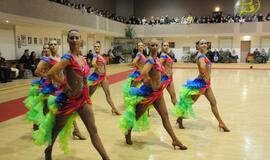 Į pasaulio čempionatą - paskui papūgėlę