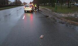 Kelionė iš prekybos centro baigėsi mirtimi