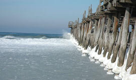 Cheminis ginklas kelia ekologinės katastrofos grėsmę