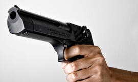 Kalifornijoje per fejerverkų šou nušauti du žmonės