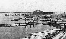 Klaipėdos akvarelės: namai ir žmonės (277)