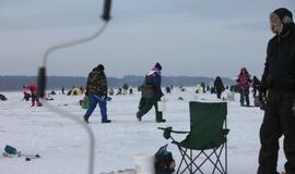Stintų žvejyba ant Kuršių narių ledo