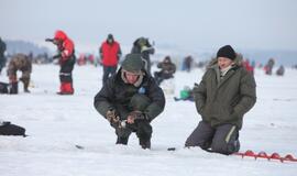 Stintų žvejyba ant Kuršių narių ledo