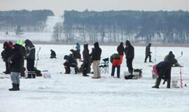 Stintų žvejyba ant Kuršių narių ledo