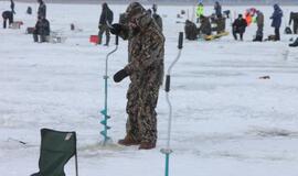 Stintų žvejyba ant Kuršių narių ledo