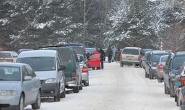 Stintų žvejyba ant Kuršių narių ledo