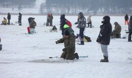 Stintų žvejyba ant Kuršių narių ledo