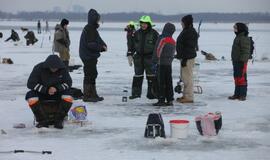 Stintų žvejyba ant Kuršių narių ledo
