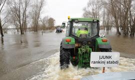 Potvynis prisimenamas tik per potvynį