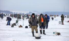 Stintų žvejyba ant Kuršių narių ledo