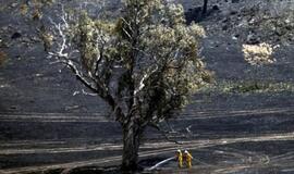 Rekordinis karštis Australijoje verčia meteorologus tobulinti žemėlapius