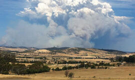 Ugniagesiai Australijoje tęsia kovą su daugiau nei 100 miškų gaisrų