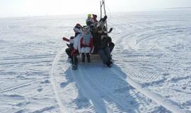 Stintapūkio šventė