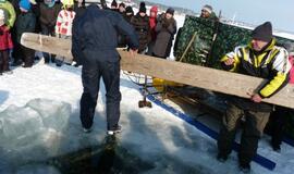 Stintapūkio šventė