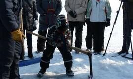 Stintapūkio šventė