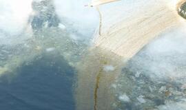 Stintapūkio šventė