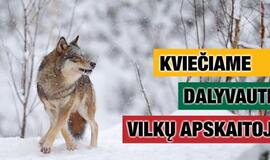 Visuomenė kviečiama talkinti skaičiuojant vilkus ir lūšis