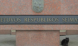 Apygardose, kur bus renkami trys Seimo nariai, rinkimų agitacija draudžiama