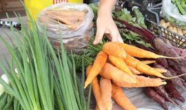 Ekologiškos produkcijos per mažai